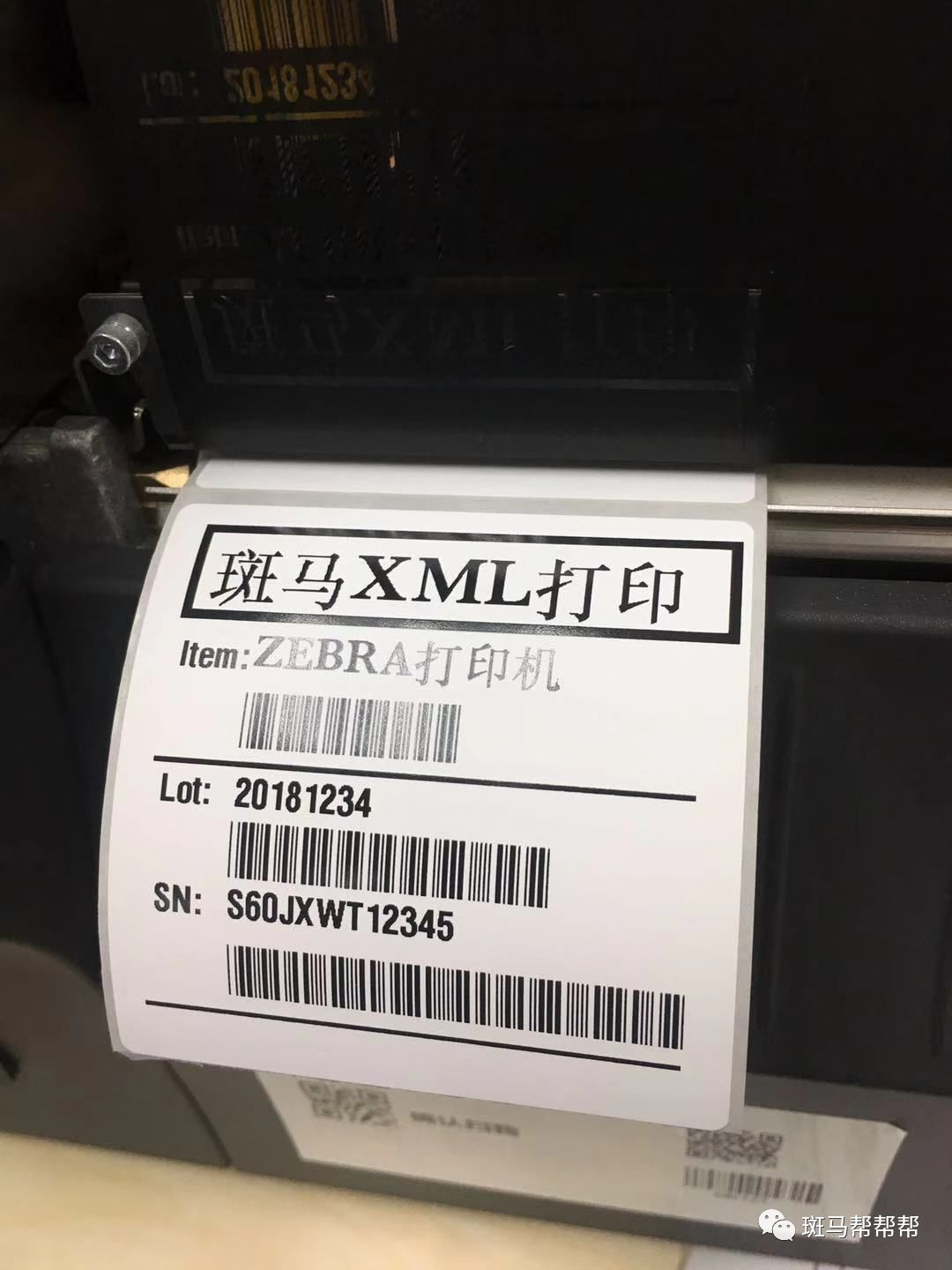 斑马打印机Zebra XML 数据直接打印方法设置